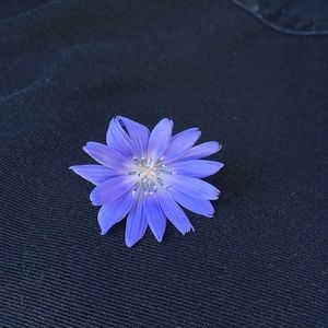 Meet your Posher, Dani